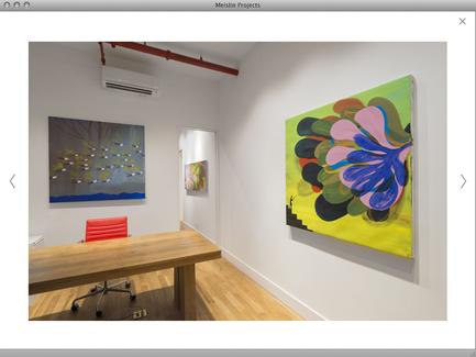 Meislin Projects