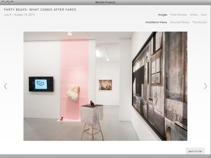 Meislin Projects