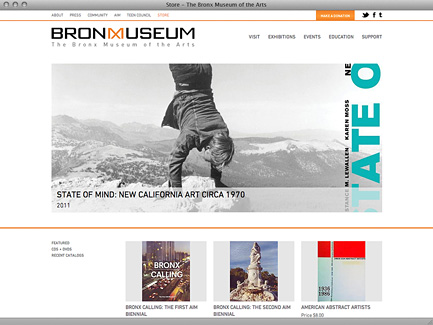 The Bronx Museum of the Arts