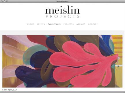 Meislin Projects